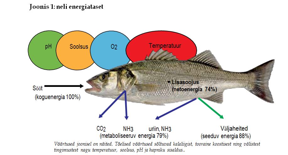 Neli_energiataset.JPG