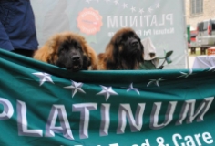 Foto autor: Kadri Kaasik